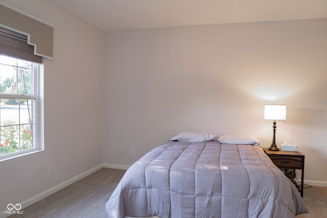 bedroom featuring multiple windows and carpet floors