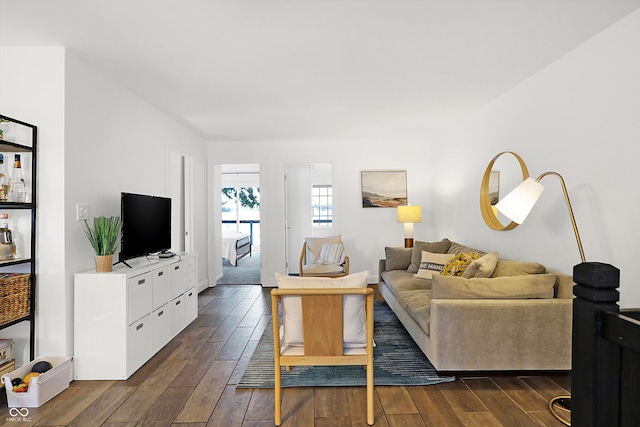 living room with dark hardwood / wood-style flooring