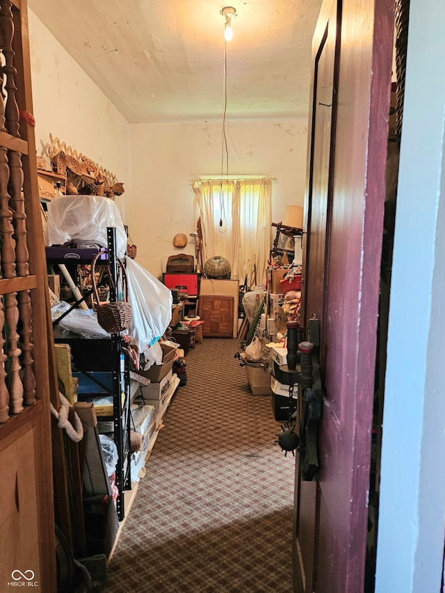 miscellaneous room featuring carpet flooring