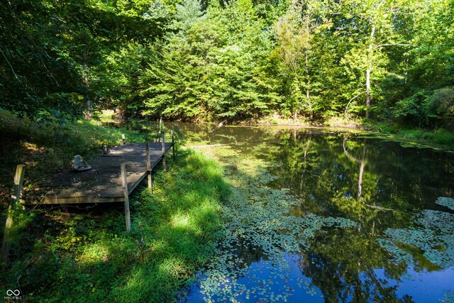 view of local wilderness featuring a water view