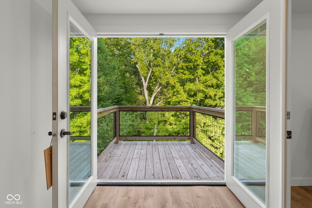 doorway to outside featuring plenty of natural light, light hardwood / wood-style flooring, and french doors