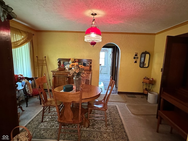 carpeted dining area with ornamental molding, a textured ceiling, and a healthy amount of sunlight