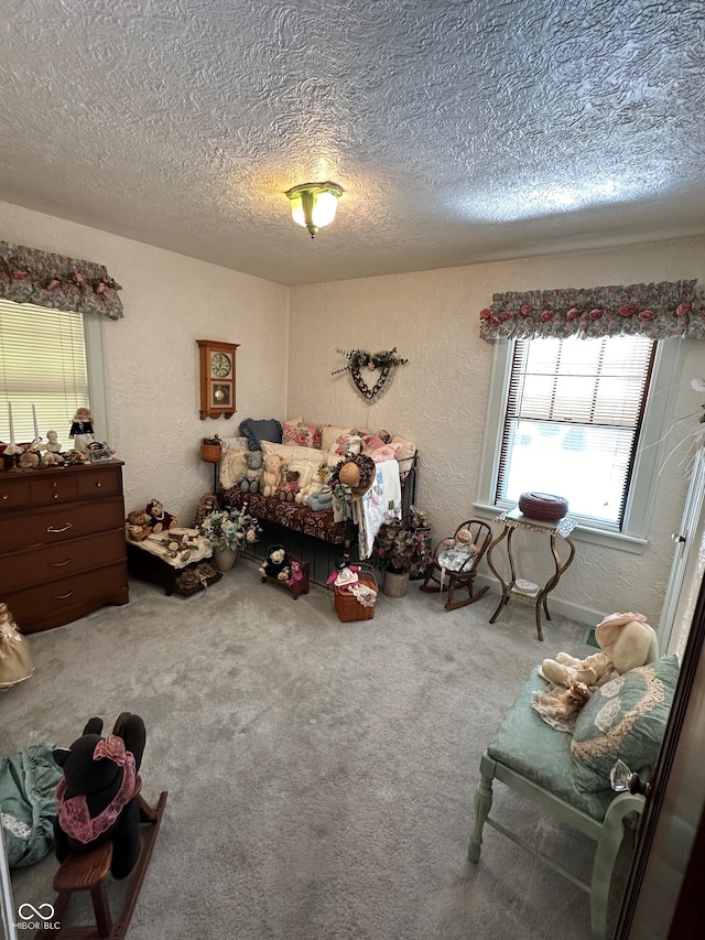 interior space with a textured ceiling and carpet flooring