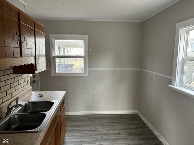 kitchen featuring a sink, a textured ceiling, dark wood finished floors, wainscoting, and crown molding