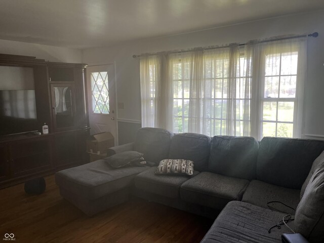 living room with hardwood / wood-style flooring