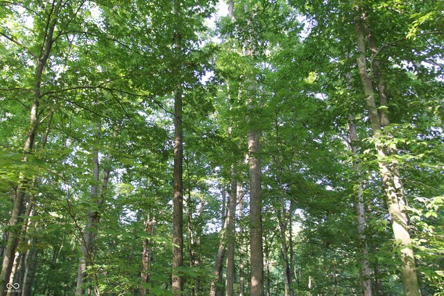 LOT20 Ridgeway Dr, Nashville, IN 47448 - photo 11