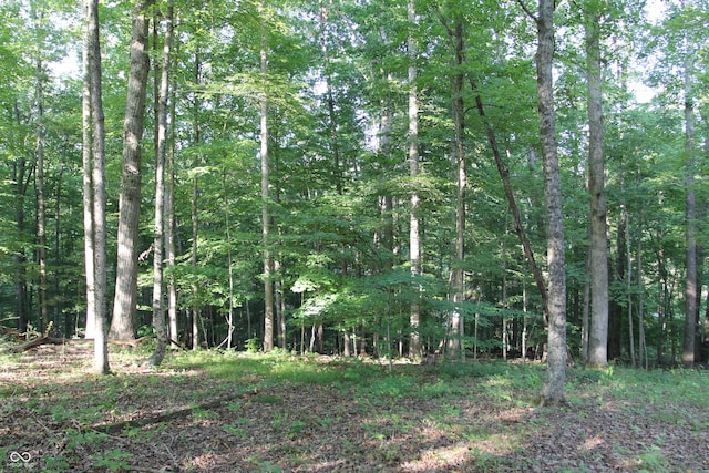 LOT20 Ridgeway Dr, Nashville IN, 47448 land for sale