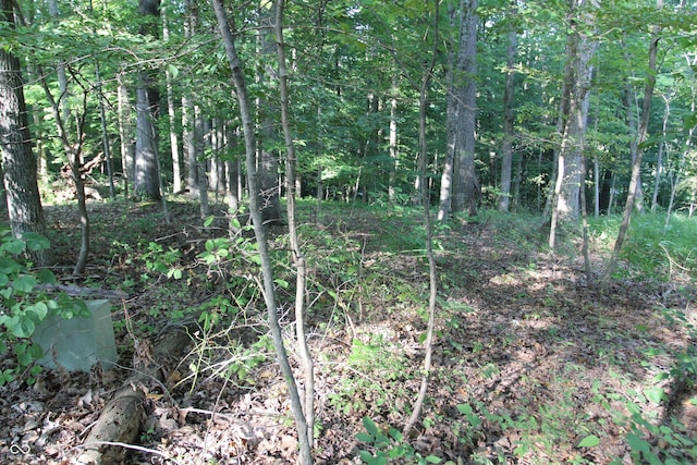 Listing photo 3 for LOT20 Ridgeway Dr, Nashville IN 47448