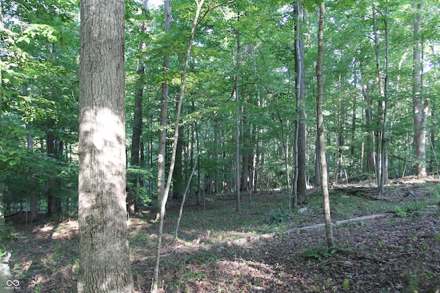 LOT20 Ridgeway Dr, Nashville, IN 47448 - photo 10
