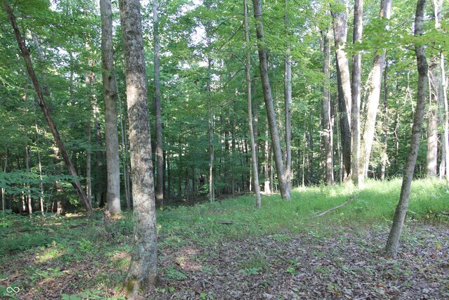 LOT20 Ridgeway Dr, Nashville, IN 47448 - photo 6