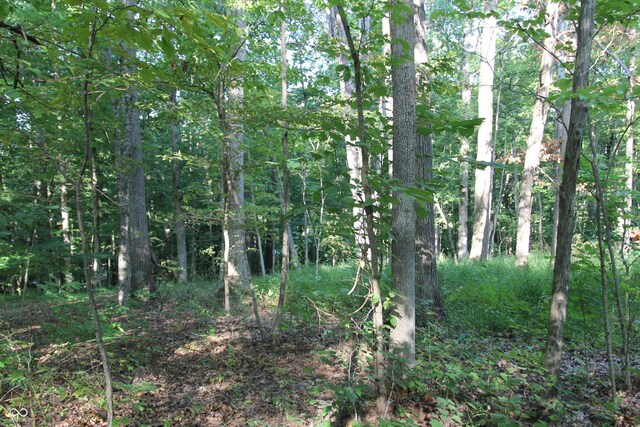 LOT20 Ridgeway Dr, Nashville, IN 47448 - photo 4