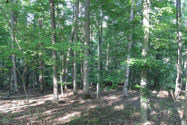 LOT20 Ridgeway Dr, Nashville, IN 47448 - photo 9