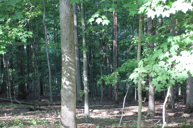 LOT20 Ridgeway Dr, Nashville, IN 47448 - photo 8