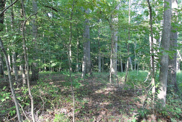 LOT20 Ridgeway Dr, Nashville, IN 47448 - photo 5