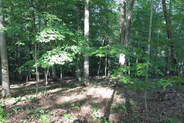 LOT20 Ridgeway Dr, Nashville, IN 47448 - photo 7
