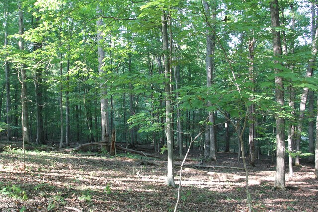 LOT20 Ridgeway Dr, Nashville, IN 47448 - photo 12