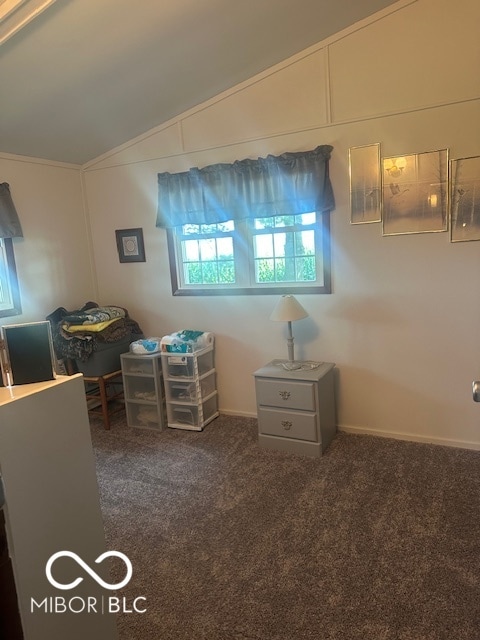 unfurnished bedroom featuring lofted ceiling and carpet floors