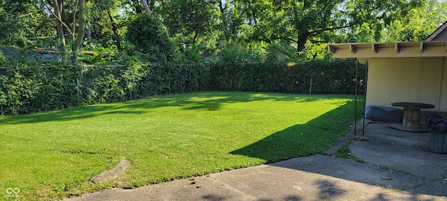 view of yard featuring a patio