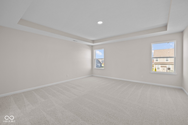 empty room featuring a raised ceiling and carpet floors