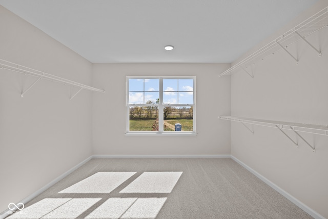 walk in closet featuring light carpet