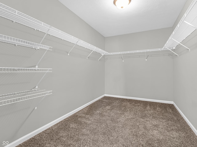 walk in closet featuring carpet