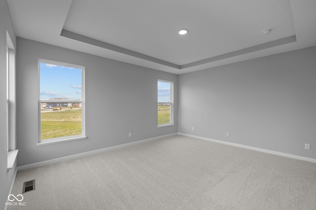 carpeted empty room featuring a wealth of natural light and a raised ceiling