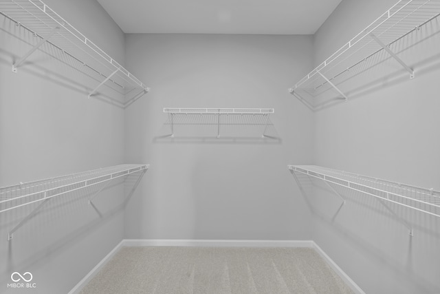 walk in closet with carpet flooring