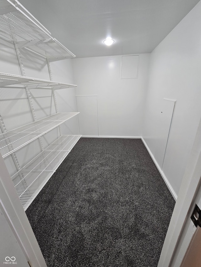 spacious closet with carpet flooring