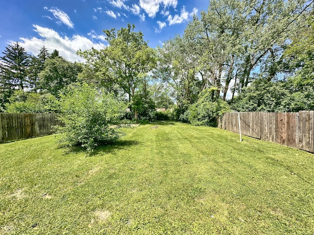 view of yard featuring fence