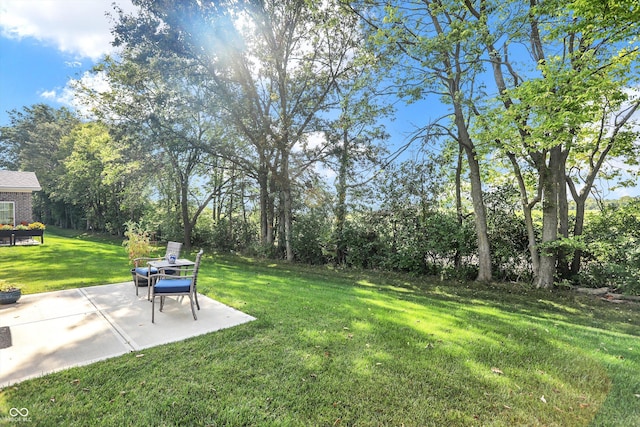 view of yard with a patio area