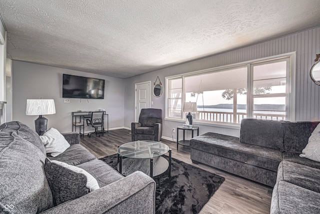 living room featuring a textured ceiling and hardwood / wood-style floors