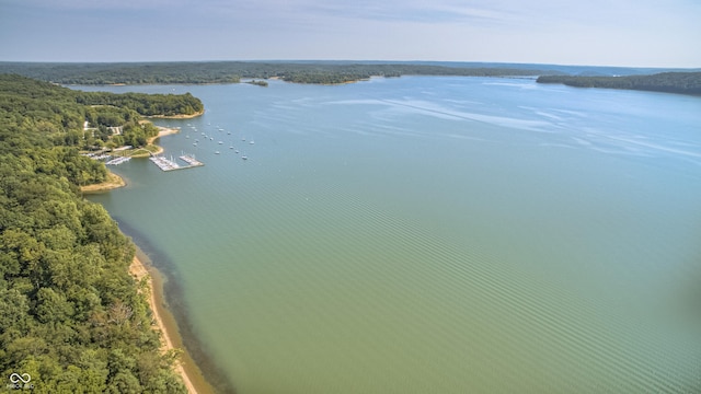 7587 Shady Side Dr, Bloomington, IN 47401 - drone / aerial view with a water view and a view of trees