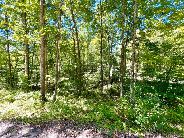 LOT3 Woods Ln, Nashville, IN 47448 - photo 5