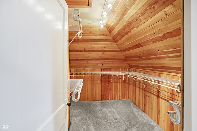 walk in closet with vaulted ceiling