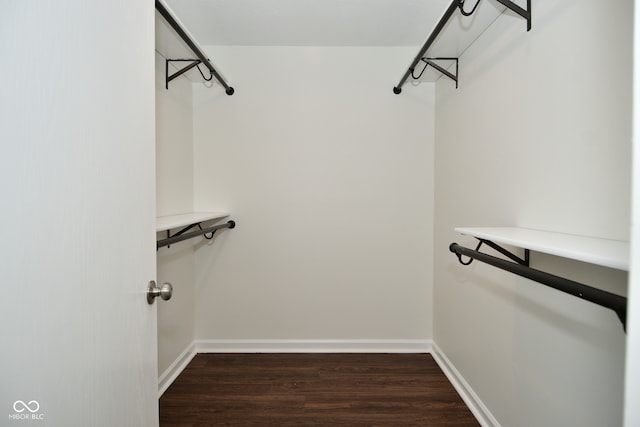 walk in closet with dark hardwood / wood-style floors