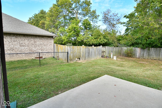 view of yard featuring a patio