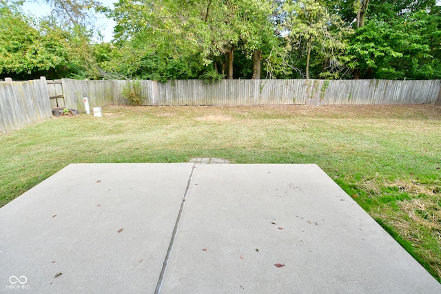 view of yard featuring a patio area