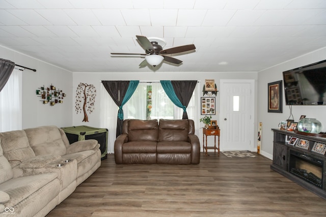 living room featuring ceiling fan, a glass covered fireplace, and wood finished floors