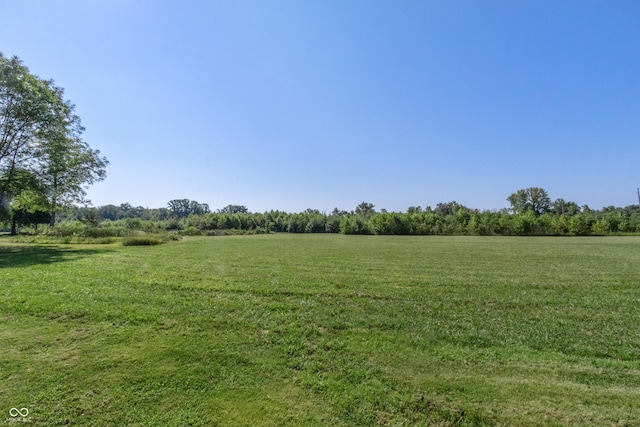 view of local wilderness