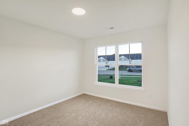 carpeted spare room with a wealth of natural light