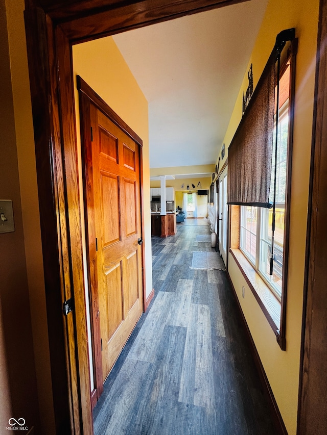 corridor featuring dark wood-type flooring