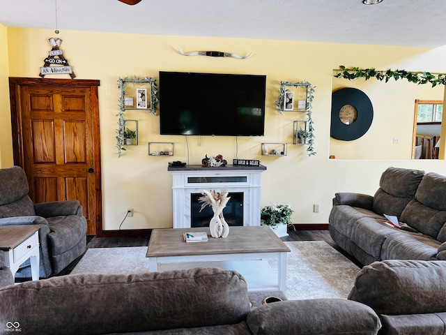 living room featuring a premium fireplace and wood-type flooring