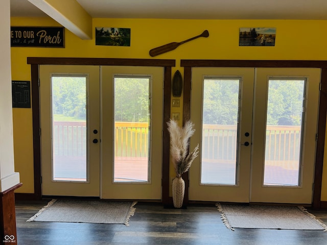 doorway with french doors, dark hardwood / wood-style flooring, and a healthy amount of sunlight