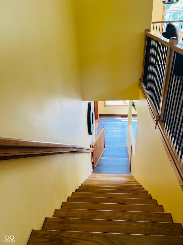 staircase with hardwood / wood-style flooring