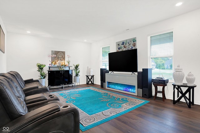 living room featuring dark wood-type flooring and a wealth of natural light