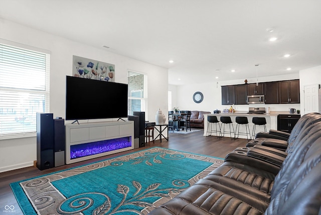 living room featuring a healthy amount of sunlight and dark hardwood / wood-style floors