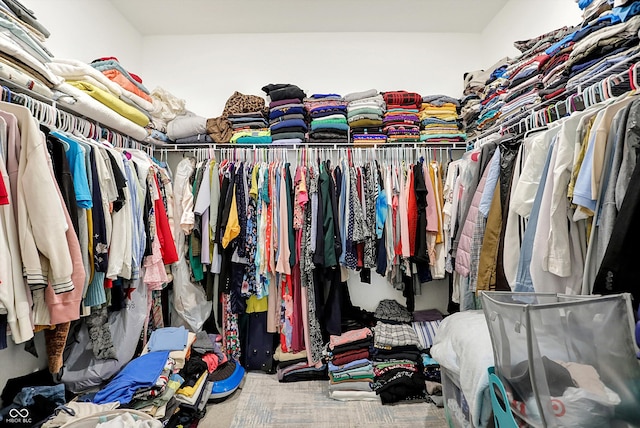 spacious closet featuring carpet flooring