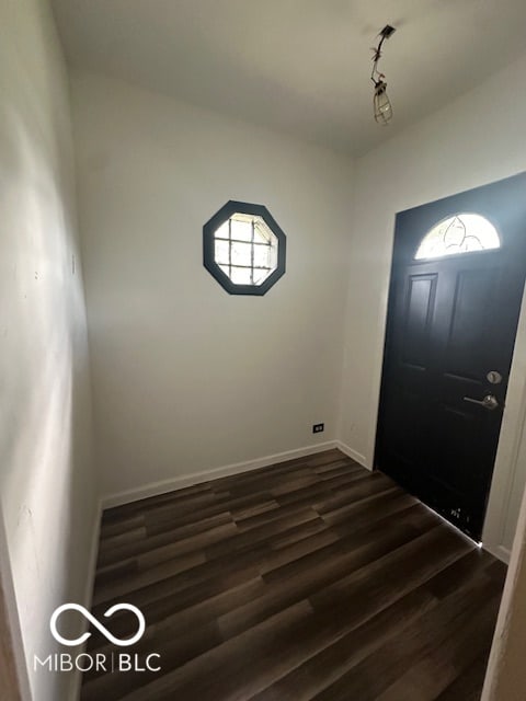 entryway featuring rail lighting and dark hardwood / wood-style flooring