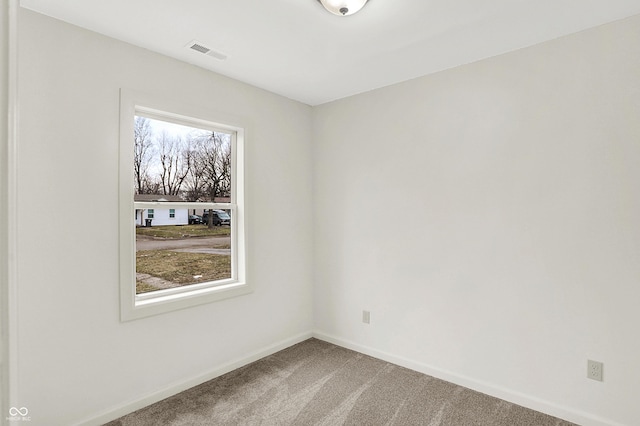 spare room featuring a wealth of natural light and carpet