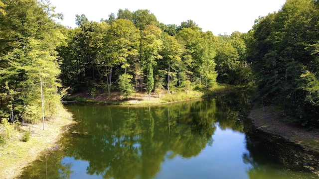 view of water feature with a wooded view